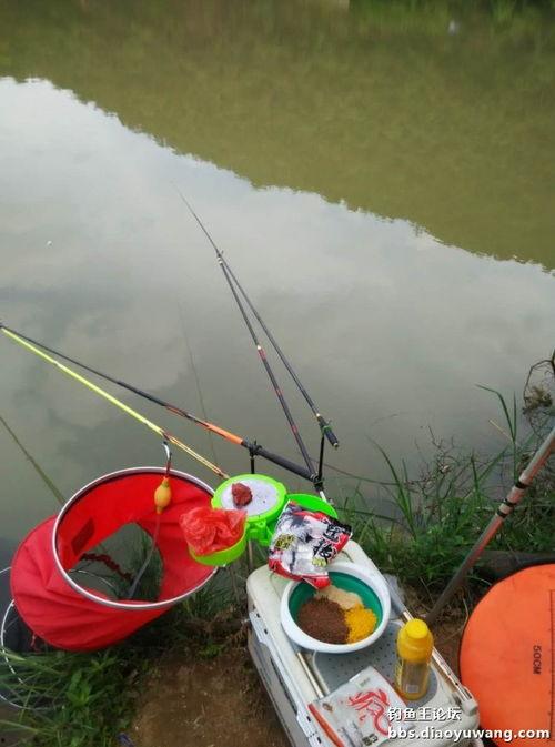 钓鱼视频 手杆钓鱼,轻松入门的垂钓体验