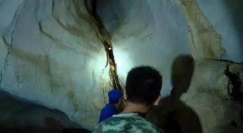 三人插一洞视频,创意视频展现团队智慧