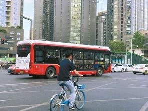 成都公交车视频,穿梭城市脉络的流动画卷