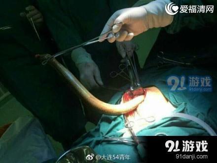 黄鳝门主播视频,揭秘网络直播背后的惊人真相